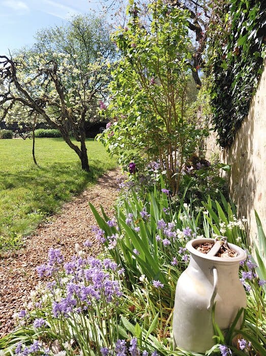 Massifs du jardin
